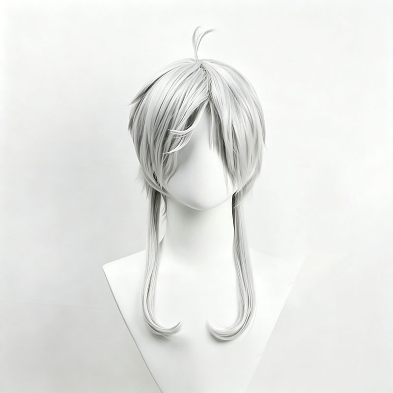 Anime Sylphiette Cosplay Pruik - Men Accessories Earrings recensie en prijs